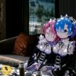 百度用户UID3012528492 null Charllotte 的头像