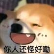 百度用户UID4195321142 emthp12138 faustsic 的头像