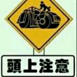 百度用户UID3597922105 suhd70 咕觚鸡 的头像