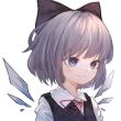 百度用户UID5523936735 810Senpai514 琪露诺最强💯 的头像