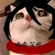 百度用户UID5046981567 幸运的shokran 呜呜艾伦😿 的头像