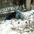 百度用户UID2520996763 zhangsiheng668 丹668 的头像