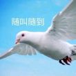 百度用户UID3468497805 xjsnbyn6 —草🌿 的头像