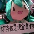 百度用户UID1369240523 mikuwei ミク伪 的头像
