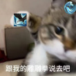 百度用户UID931119586 jklj686 我就吃一口🔥 的头像