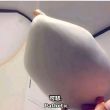 百度用户UID2564131739 洛电络罗 七月QAQ2020 的头像