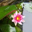 百度用户UID1432849545 彼岸花开zxh 宁静致远ZXH 的头像