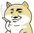 百度用户UID1267820910 null 丿枫叶🍁 的头像