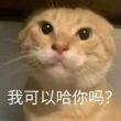 百度用户UID3528149109 玉藻前辈 大哲学家258 的头像