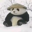 百度用户UID6404545335 Sourvivors 山南_水北 的头像