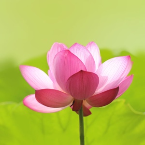 百度用户UID3538837809 null 紫澜观察 的头像