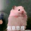 百度用户UID4943552509 韦德210 vtzf2 的头像