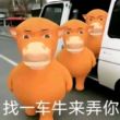 百度用户UID6844602052 nnnnhhcgv 零拉艾池繁 的头像