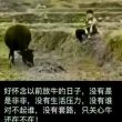 百度用户UID2646117976 不发贴一不回贴 null 的头像
