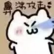 百度用户UID1077884444 丶不弃丿绿豆 LdSangº 的头像