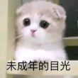 百度用户UID1067105938 巴黎鹿Oo 并不错🌚 的头像