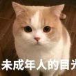 百度用户UID903301002 转角怎会遇见你 Alemonლ 的头像
