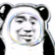 百度用户UID1906870835 神秘大楠 芜湖小小宝😄 的头像