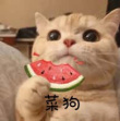 百度用户UID3446411510 地地道道不操心 低语画♤ 的头像