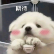 百度用户UID498412157 999八戒 null 的头像