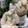 百度用户UID731013004 时有天晴时有雨 null 的头像