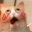 百度用户UID3769711759 2780786071Wzc 눈_눈♡ 的头像