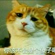 百度用户UID1878286364 真的阿姆罗 null 的头像