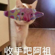 百度用户UID411280708 不放血的郭嘉 何以技痒😈 的头像
