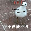 百度用户UID2898486596 小世界2006 余目寻桃 的头像
