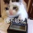 百度用户UID3329203725 一只网络土狗 一只网络土狗🐶 的头像