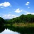 百度用户UID3766489032 null 山泉流淌的地方 的头像
