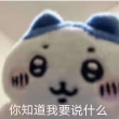 百度用户UID466595399 流转不过一指间 null 的头像