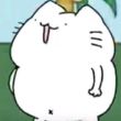 百度用户UID5623489368 一只大白胖猫 大白胖猫 的头像