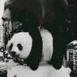 百度用户UID7075451564 null 贴吧用户_JWNVXVU 的头像