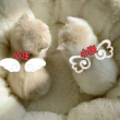 百度用户UID2160766452 天妖狐帝 艳冠天下 的头像