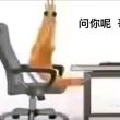 百度用户UID6702249800 3494887896_com 你我同母[头盔] 的头像