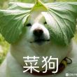 百度用户UID881824806 冰雨寒岚 null 的头像