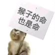 百度用户UID4827585059 Phturenoise null 的头像