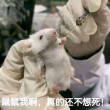 百度用户UID5716581154 唉_____绝 null 的头像