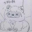 百度用户UID873769551 新生小兜 带带大带鱼😡 的头像