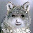 百度用户UID531003479 klzhuanshu Sssssss 的头像