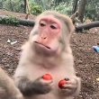 百度用户UID1399407165 夏家杰西 null 的头像