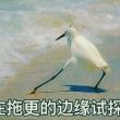百度用户UID1342387282 揍敵客之子 null 的头像
