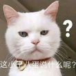 百度用户UID2663618338 __蓝瘦香菇_ 离谱了h 的头像