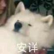 百度用户UID3459233603 bibibuhb 灿然丶- 的头像