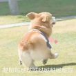 百度用户UID1833053440 才子783 山楂山渣 的头像