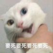 百度用户UID869922431 落花残觞 null 的头像