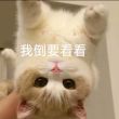 百度用户UID6903052065 null 哈基shy救救ig 的头像