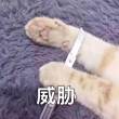 百度用户UID1868716138 诸云虎 无趣至极ya🍦 的头像