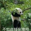 百度用户UID2615625430 神hzzge 什hzzge 的头像